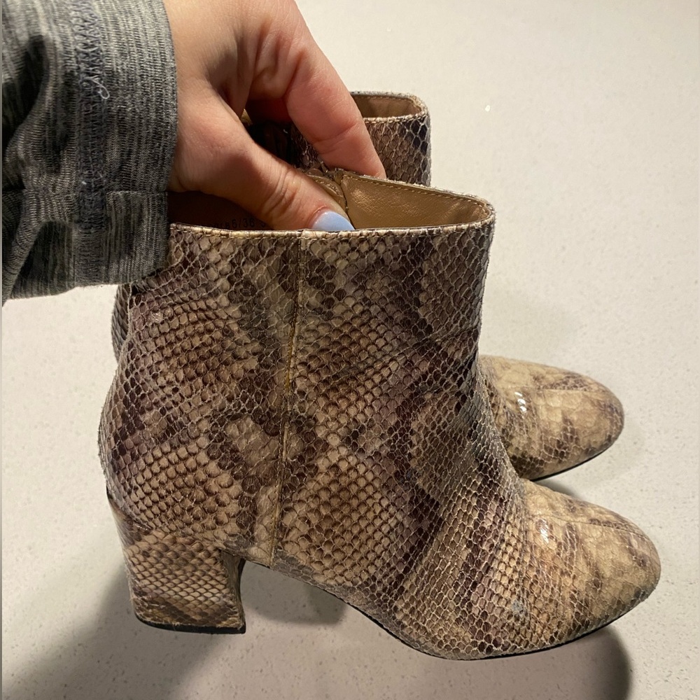 Chinese Laundry Snakeskin Boot - image 2